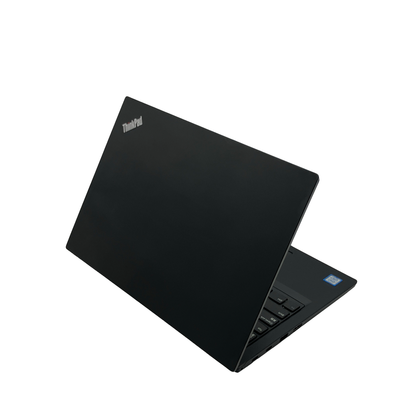 L390_backright