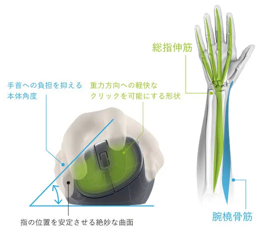 【新品】ELECOM ワイヤレスマウス EX-G 無線2.4GHz 静音 Sサイズ 5ボタン 「AskDoctors評価サービス」認証 抗菌 ブラック