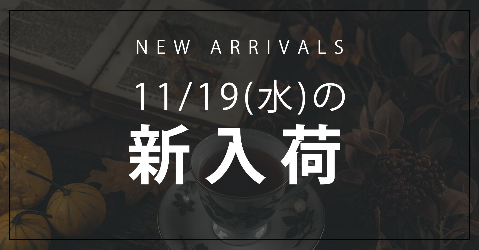 今日の新入荷アイテムお知らせ【2025年11月19日号】