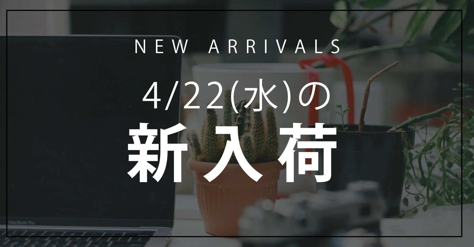 今日の新入荷アイテムお知らせ【2026年4月22日号】