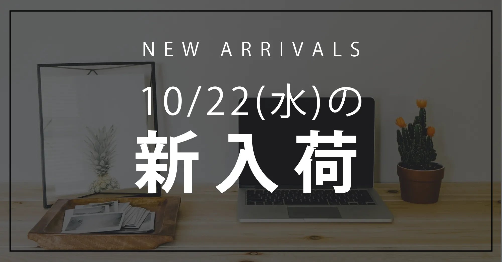 今日の新入荷アイテムお知らせ【2025年10月22日号】